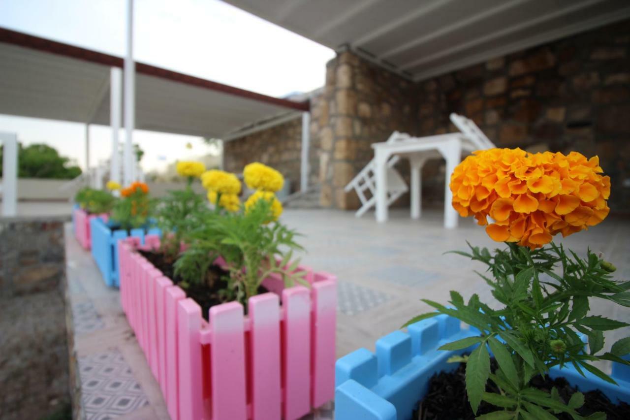 Denizyildizi Otel Bozcaada Luaran gambar